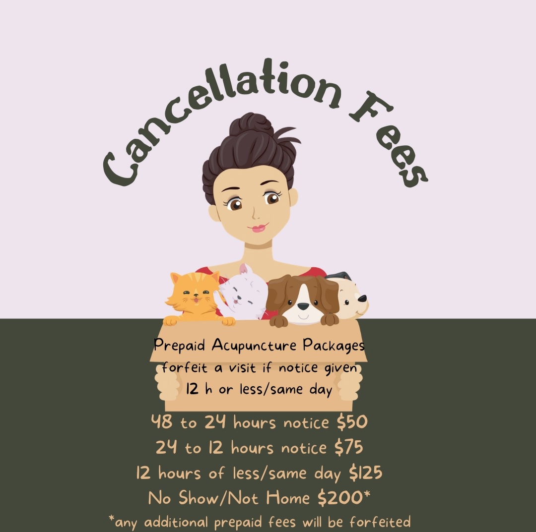 cancellation fee payment image