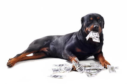 dog with money