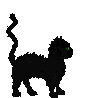 Freaking cat