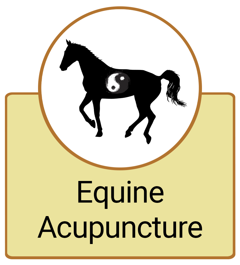 Equine Acupuncture Button