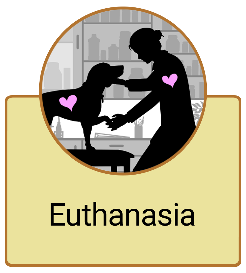 Euthanasia button