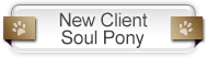 New Client Soul Ponyicon