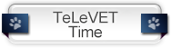 Televet Time icon Televet Time icon