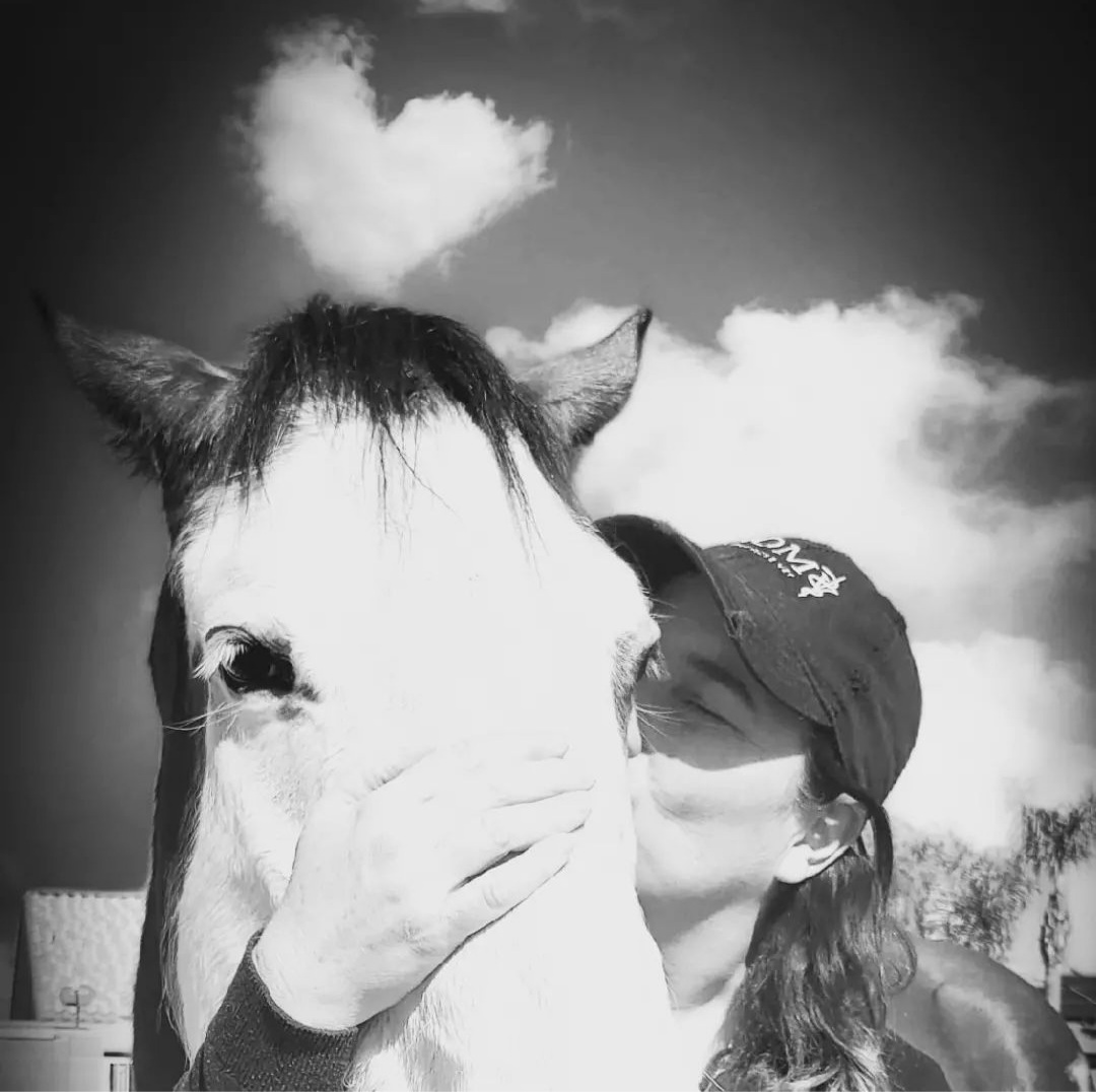 kissing a horse