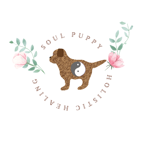 soul puppy logo