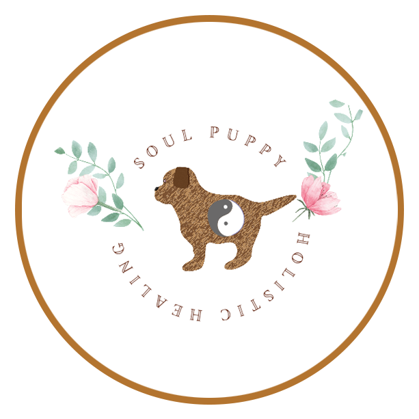 SOUL PUPPY HOLISTIC HEALING logo