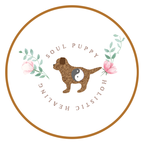 Soul Puppy Holistic Healing Logo