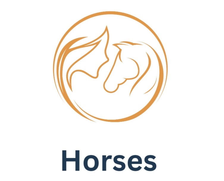 horse and doctor icon