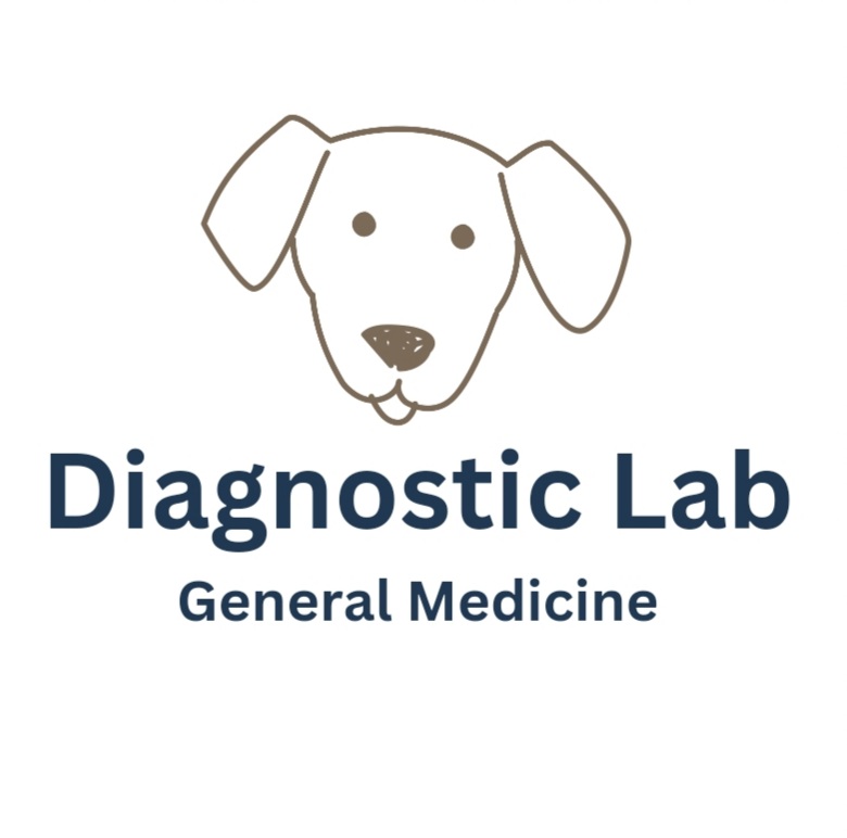 Illustration of lab for diagnostic lab services icon gray