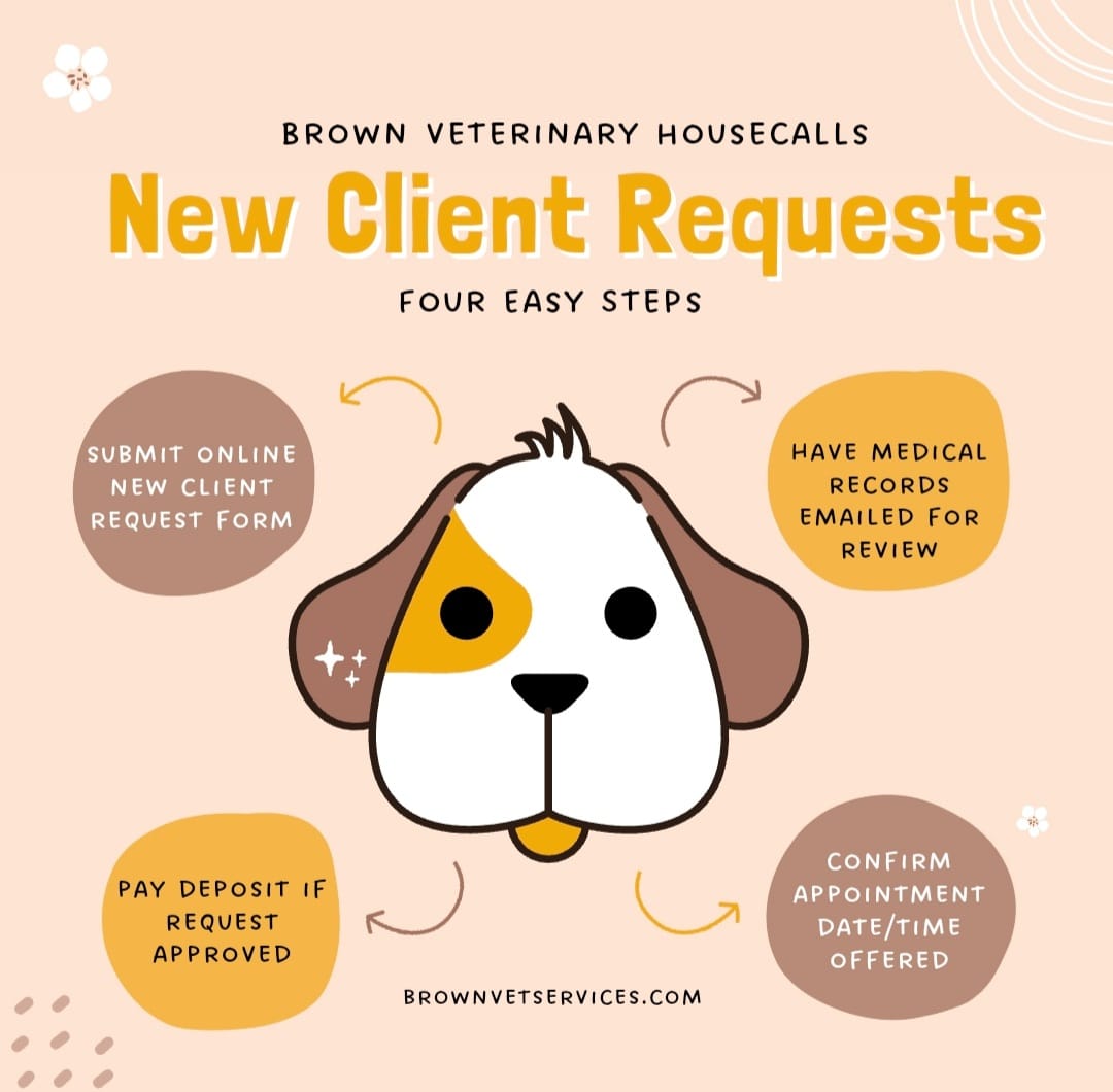 New Client Promo