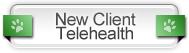 new client telehealth
