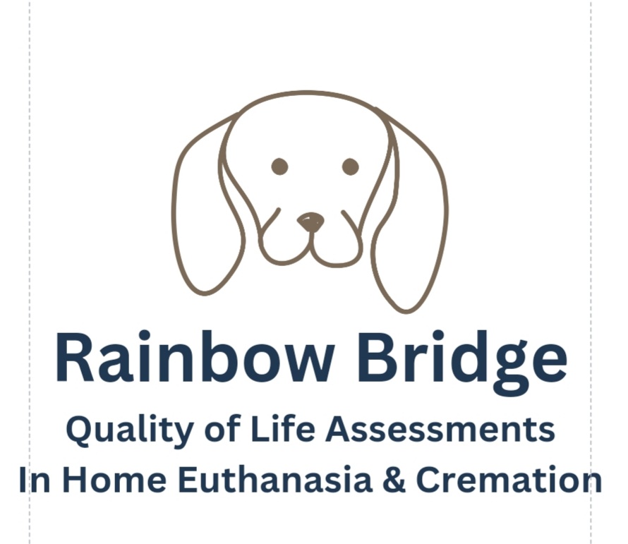 Rainbow bridge doc icon gray