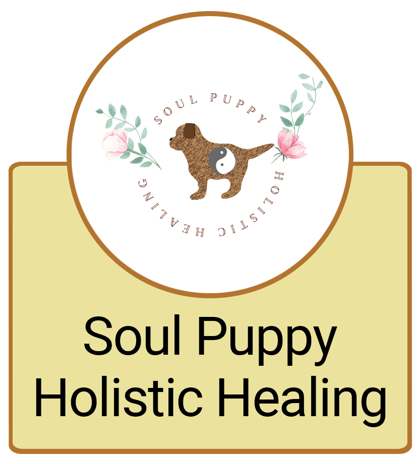 Soul Puppy Holistic Healing Button